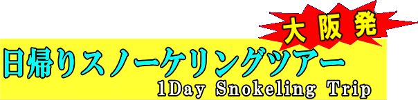 大阪発　帰りスノーケリングツアー