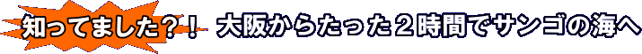 知ってました？大阪からたった２時間でサンゴの海へ