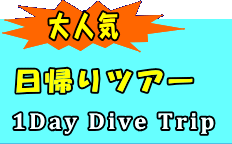 ネイビーカンパニー FUNDIVE 日帰りツアー