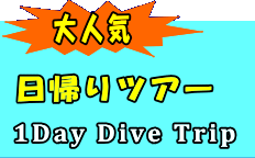 ネイビーカンパニー　FUNDIVE 日帰りツアー