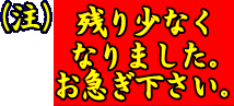 オリジナル　ロングフィン用メッシュバッグ　残り少なくなりましたお急ぎ下さい。