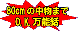 80㎝の中物までO.K.万能銛　クラスタースピア