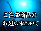 ネイビーカンパニー商品発送・お支払い方法について。