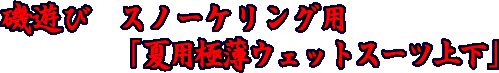 磯遊び　スノーケリング用　夏用極薄ウェットスーツ上下