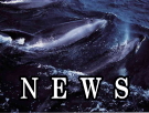 NEWS�E�V���׏��B